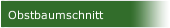 Obstbaumschnitt 