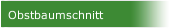 Obstbaumschnitt 